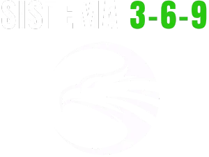 Logo Sistema 3-6-9